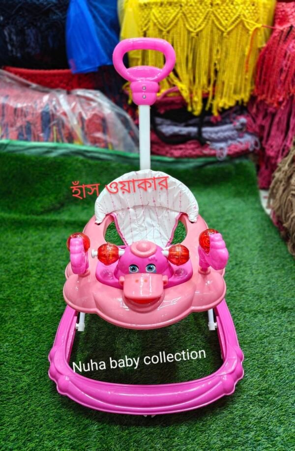 হাস ওয়াকার