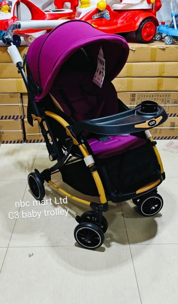 C3 Baby Stroller
